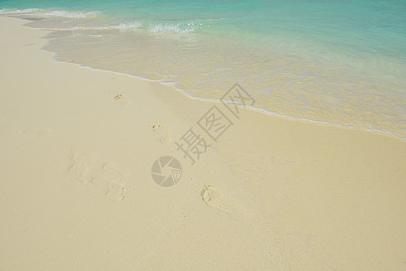 热带热带海滩冲浪假期太阳晴天海浪风景墙纸海洋阳光地平线图片