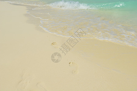 热带热带海滩冲浪放松蓝色旅行太阳天堂季节海岸地平线旅游图片