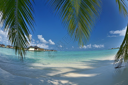 热带热带海滩景观阳光海浪蓝色墙纸天堂旅行晴天海洋太阳地平线图片