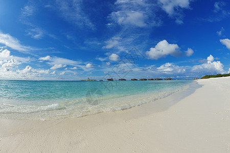 热带热带海滩阳光假期晴天放松海洋海岸风景旅行支撑冲浪图片