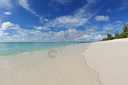 热带热带海滩脚印阳光海岸支撑旅行蓝色风景天堂冲浪季节图片