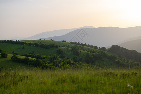 夏季自然景观地平线爬坡草地丘陵植物金子农村日落蓝色天空图片