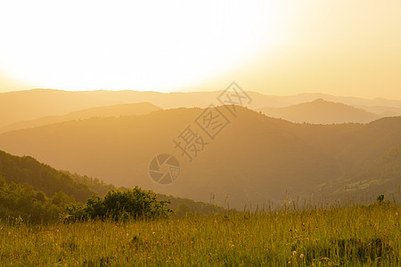 夏季自然景观地平线太阳植物日落丘陵天空爬坡小时旅行艺术图片