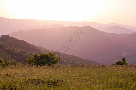 夏季自然景观丘陵地平线森林小时阳光太阳植物风景农村天空图片
