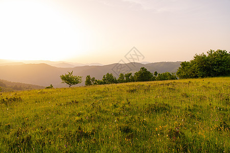 夏季自然景观森林太阳草地农村蓝色日落阳光丘陵山脉金子图片