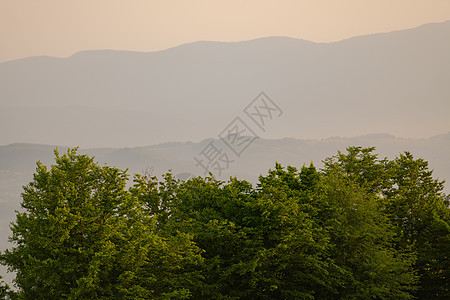 夏季自然景观植物风景爬坡草地阳光山脉蓝色艺术太阳森林图片