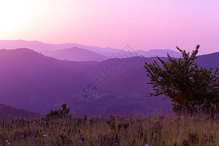紫外线紫色夏天风景地平线山脉太阳农村森林场地爬坡日落植物天空图片