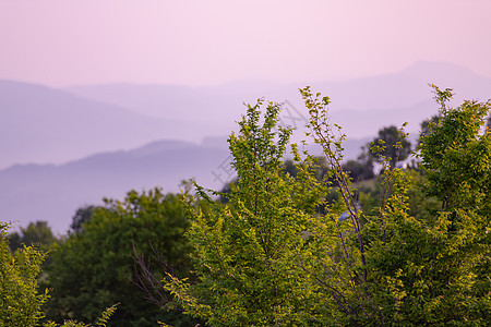 夏季自然景观日落丘陵风景太阳植物农村场地草地阳光小时图片