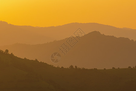 夏天的黄金日落草地爬坡植物小时地平线森林天空艺术农村阳光图片