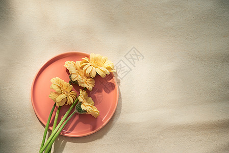 盘子上黄色背景的花朵高架装饰绿色粉色桌子白色环境叶子植物蓝色图片