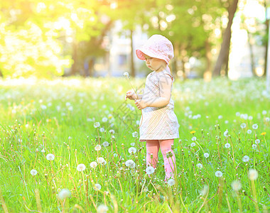 在阳光明媚的一天 带着花朵在公园里的小姑娘眼睛微笑草地太阳场地后代童年金发头发日落图片