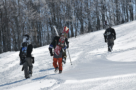 雪板季节单板乐趣度假村木板假期山脉竞赛降雪滑雪图片