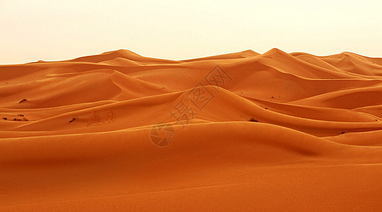 撒哈拉沙漠风景图片旅游世界旅游迷世界旅行旅行者博主游记照片博客公羊图片
