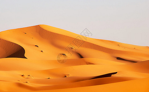 对撒哈拉沙漠沙丘的全景观照片图片游记博客世界旅行博主旅人旅游迷摄影图片