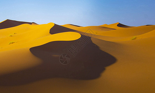 撒哈拉沙漠风景图片旅游生活游记假期世界博客旅游博主照片旅游迷公羊图片