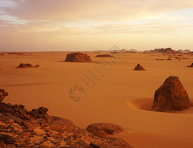 撒哈拉沙漠风景图片公羊假期旅行者旅游旅游生活旅游世界博主照片旅游迷游记图片