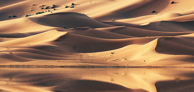 撒哈拉沙漠中风沙沙丘博客游记照片旅游图片旅行笔记本旅游世界博主旅行者图片
