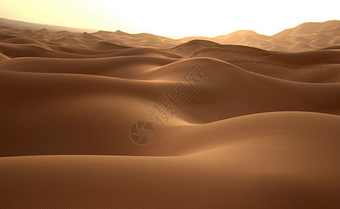 撒哈拉沙漠中风沙沙丘旅人公羊旅行者照片旅行旅游世界旅游旅游迷摄影博主图片