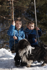 冬天小男孩的画像晴天太阳微笑乐趣季节团体森林塑料孩子们闲暇图片
