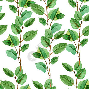 弗洛拉尔将无缝模式的绿色颜色留在白色背景上叶子纺织品沙拉装饰品水彩艺术打印插图热带花园图片
