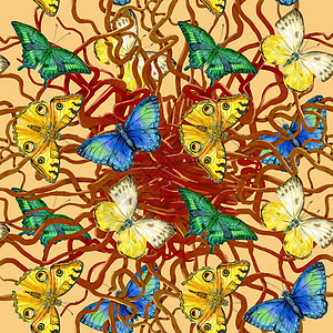 花朵留下无缝的图案 黄底有多彩蝴蝶图片