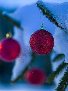圣诞树球装饰白色松树庆典风格绿色装饰品红色卡片季节假期图片