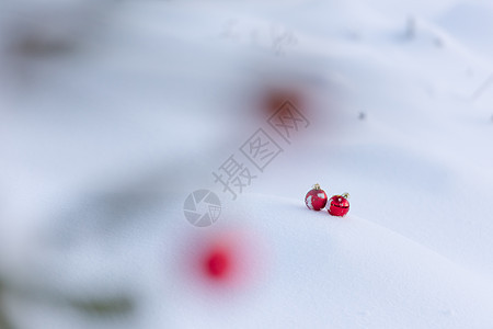 清雪中的红圣诞节球乐趣季节假期装饰风格玻璃阴影装饰品小玩意儿庆典背景图片