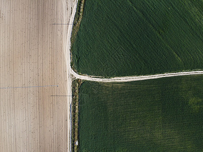 农村绿燕麦田道路上的鸟瞰图 在阳光明媚的春日 燕麦田在风中飘扬 大麦作物的耳朵在自然界中 农学 工业和食品生产图片