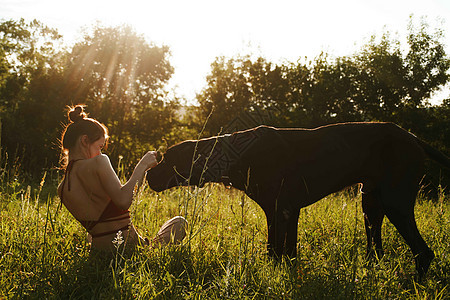 夏天在大自然的田野里玩狗的开心女人农村训练动物太阳阳光成人猎犬公园日落喜悦图片
