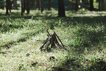 为在树林中的一个营地做饭的营火而准备的柴堆图片