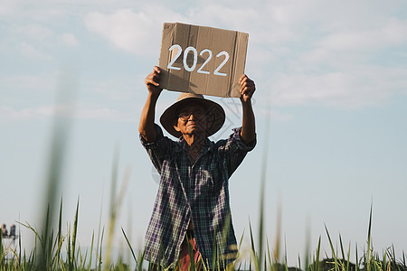 一名年长农民在日落时站在稻田里 举行2022年新年标志会男性天空农业食物热带培育帽子谷物男人草地图片