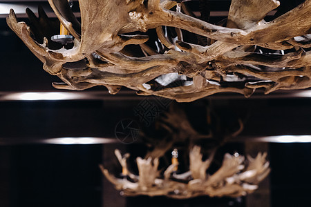 由挂在内地天花板上的鹿鹿鹿角制作的吊灯机吊灯艺术房间动物枝形吊坠装饰建筑学风格喇叭图片