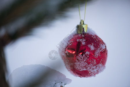 清雪中的红圣诞节球装饰风格玻璃雪花派对季节乐趣假期庆典阴影图片