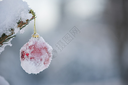 清雪中的红圣诞节球假期派对乐趣季节雪花庆典玩具装饰风格玻璃图片