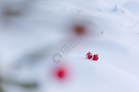 清雪中的红圣诞节球庆典雪花玻璃小玩意儿季节风格派对玩具装饰阴影图片
