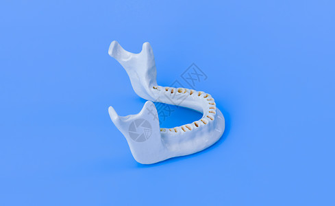 没有牙齿的下人下下下巴诊所牙医塑料外科解剖学口服美白医生牙科微笑图片
