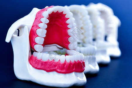 牙医正畸牙齿模型假肢诊所药品工作室医生卫生牙龈手术塑料假牙图片