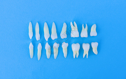蓝色背景白牙的顶部视图鞑靼牙疼衰变牙科治疗宏观保健凹痕诊所牙齿图片