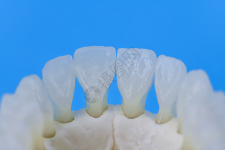 具有牙齿解剖模型的低下人下下下巴医生口服手术诊所药品卫生外科假肢牙医微笑图片