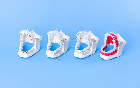 牙医正畸牙齿模型卫生牙龈矫正医生手术牙科药品教学塑料工具图片