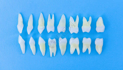 蓝色背景白牙的顶部视图团体牙医假肢鞑靼医生空腔搪瓷衰变卫生磨牙图片