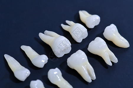 蓝色背景的白牙空腔医生衰变诊所凹痕保健牙医治疗搪瓷解剖学图片