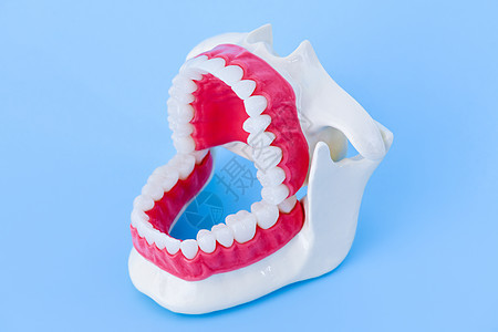 牙医矫正牙齿模型治疗外科假牙教学卫生医生牙科塑料展示教育图片