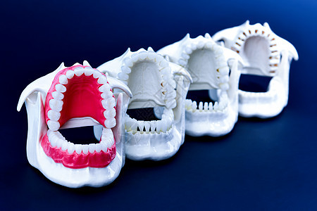 牙医正畸牙齿模型假牙治疗工具技术卫生药品解剖学外科展示科学图片