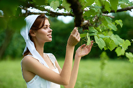 妇女穿着白着白色衣服在农村乡村村庄自然生态种植者收成农民葡萄园裙子工人玫瑰酿酒师栽培喜悦图片