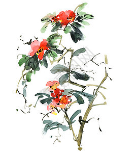 水彩花色绘画植物樱花墨水插图手工艺术手绘花瓣花束艺术品图片