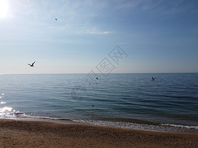 美丽的偏远海滩 清澈湛蓝的海水 鸟瞰图 未受破坏的大自然和隐藏着海鸥的沙滩 小波浪上的运动模糊 假期 假期和旅行的概念 没有人太图片