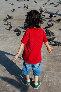 男孩走近鸽子群 以进食飞行灰色好奇心幸福孩子们场景乐趣石板宠物鸽子图片