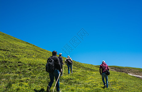 在阿尔特文高地行走的背背包和徒步登山者两极运动远足者团体环境游客男人草原朋友们旅行图片