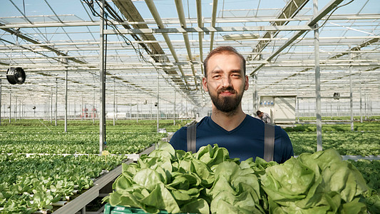 在温温室工作的农业种植者男子的肖像图片